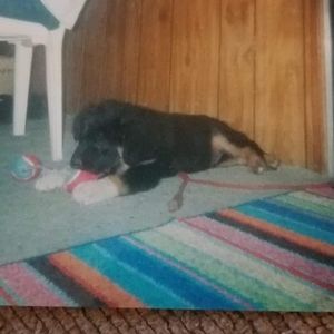 Meet your Posher, Christopher